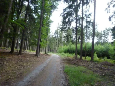 Lom Řásná, fotografie 5