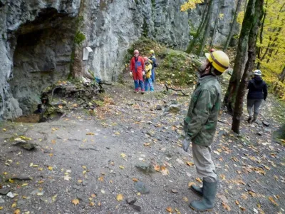 Plazivá kačena, fotografie 31