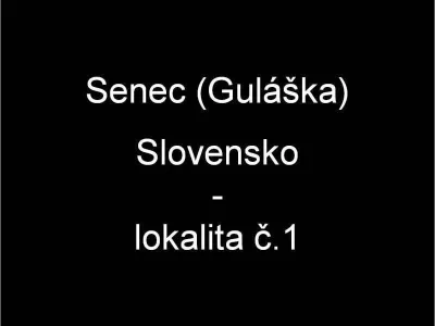 Senec - Guláška lokalita č.1, fotografie 1