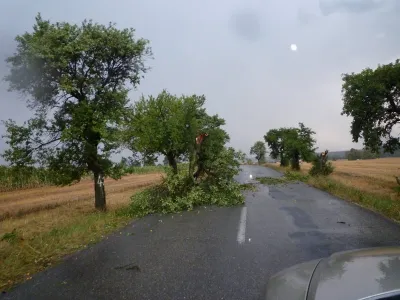 Lom Šošůvka, fotografie 270