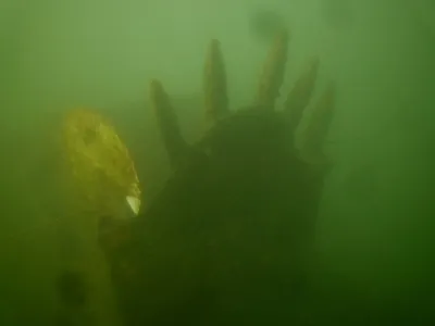 Lom Šošůvka, fotografie 313