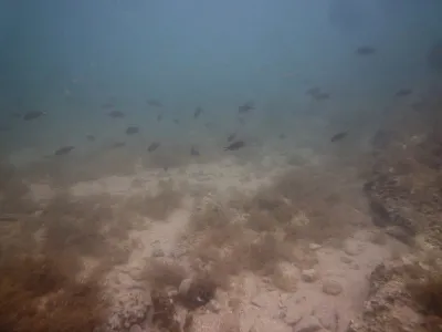Puntižela bay - HR, fotografie 61