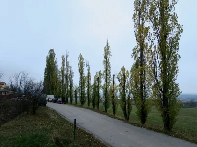 Lom Šošůvka, fotografie 337