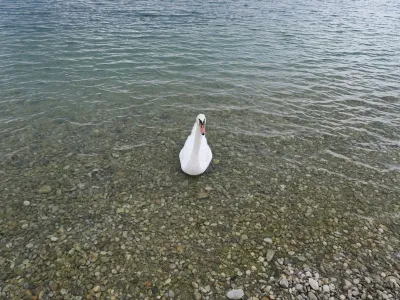 Senec - Guláška lokalita č.1, fotografie 12