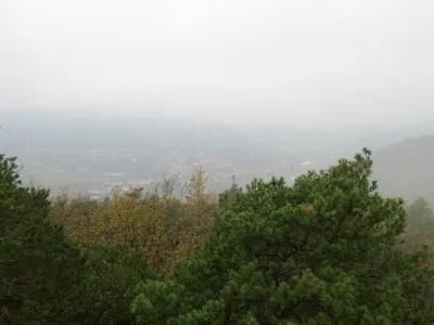 Plazivá kačena, fotografie 30