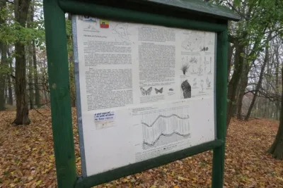 Plazivá kačena, fotografie 51