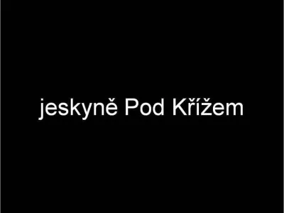 Plazivá kačena, fotografie 59