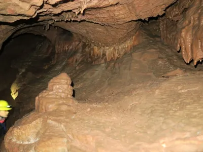 Plazivá kačena, fotografie 123