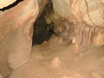 Plazivá kačena, fotografie 132