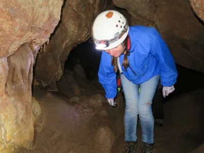 Plazivá kačena, fotografie 136