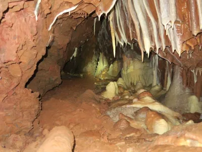Plazivá kačena, fotografie 164