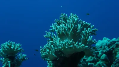 Egypt - Jižní safari, fotografie 31