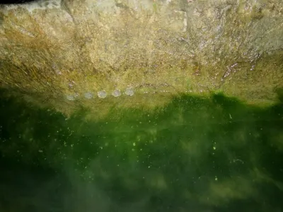 Lom Šošůvka, fotografie 376